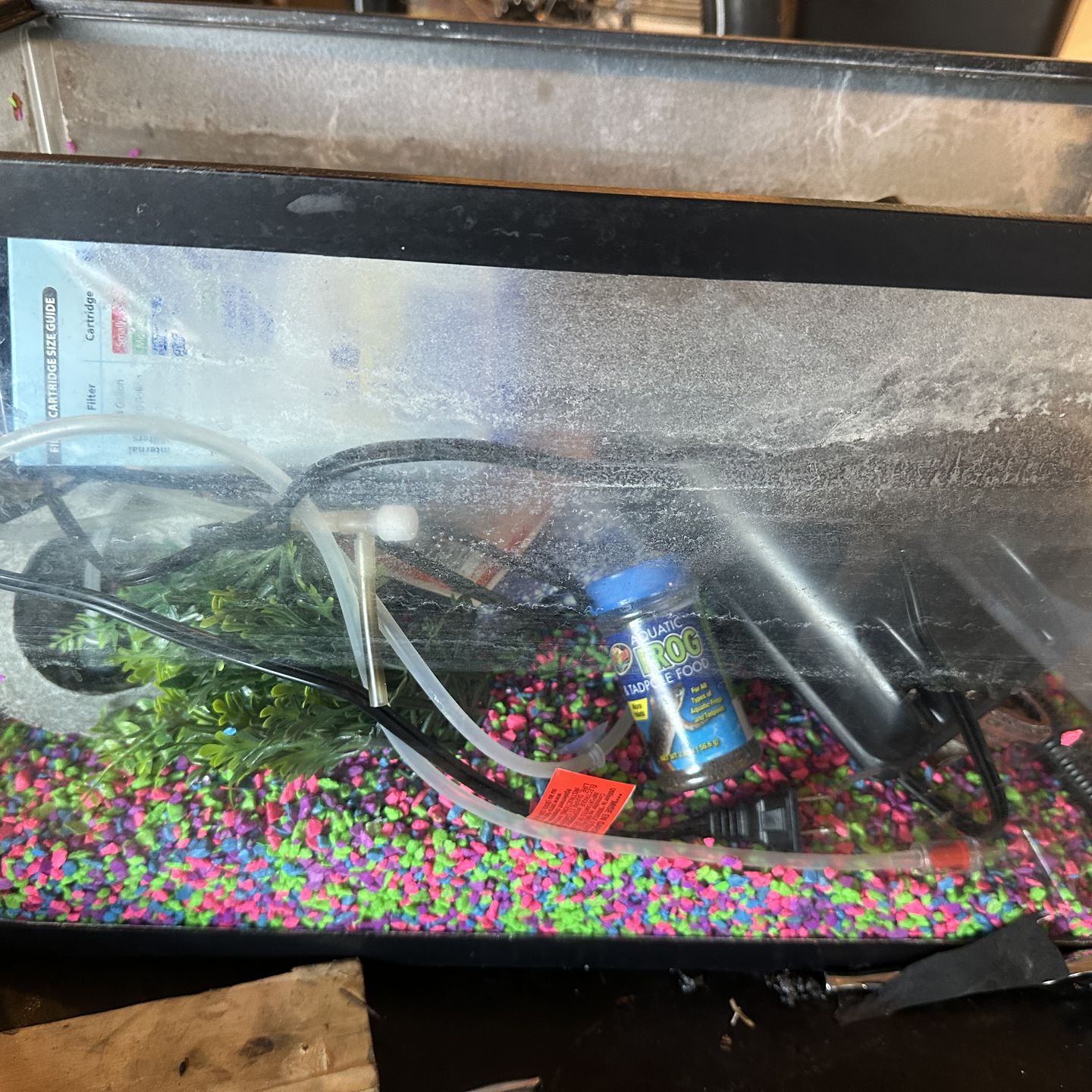 10 gallon fish tank