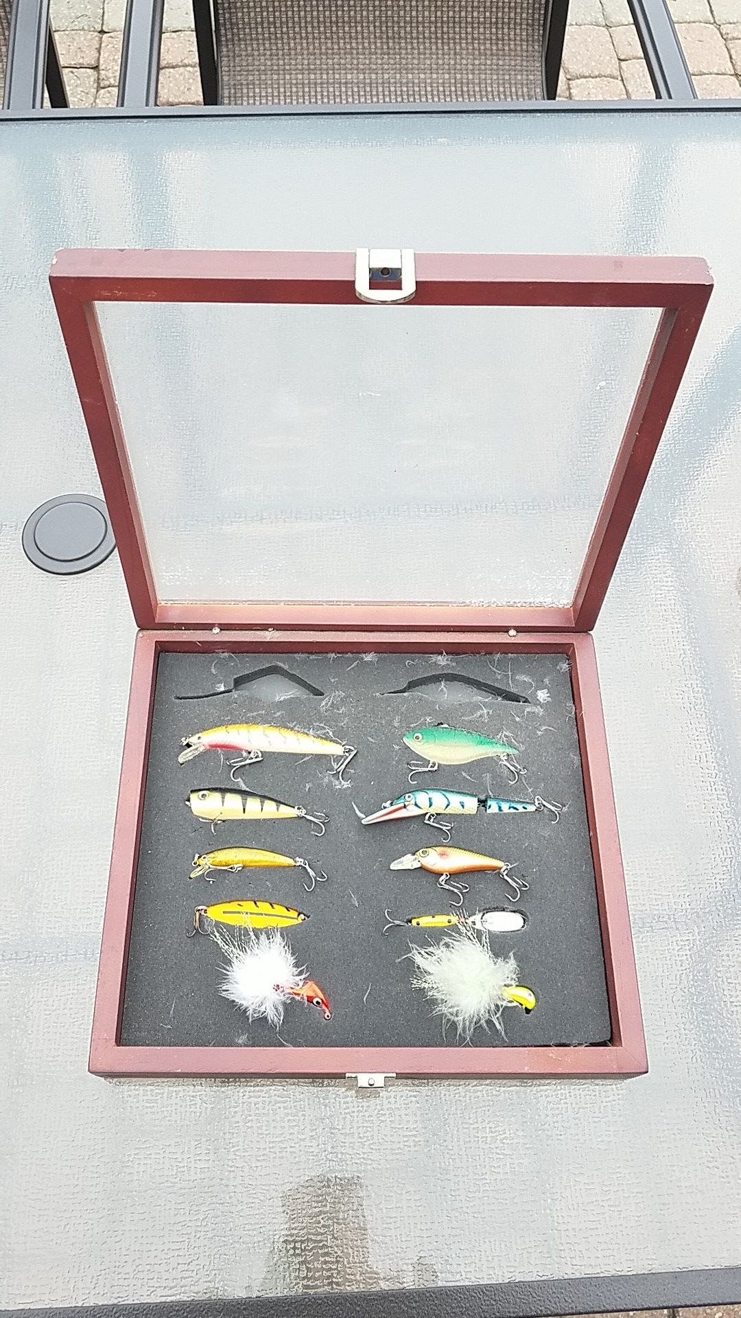 Fishing lures in display case