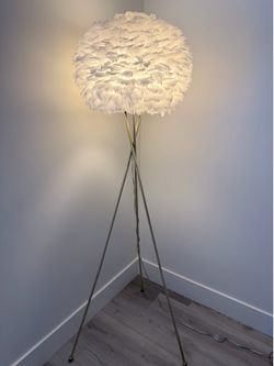 Beautiful Feather Light
