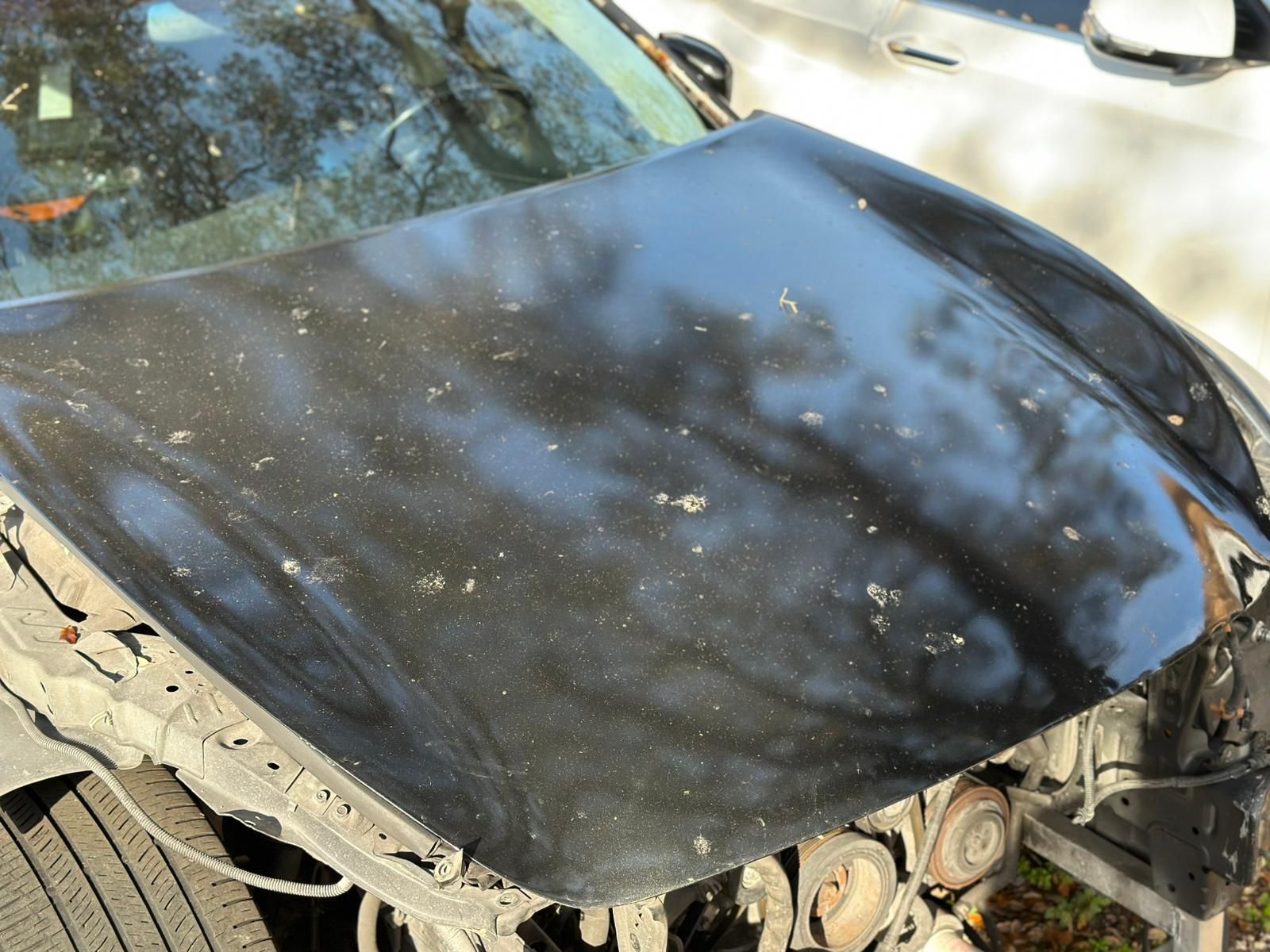 M37 Q70 HOOD