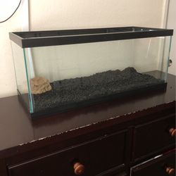 40 gallon fish tank With black rocks for Sale in Bakersfield, CA - OfferUp