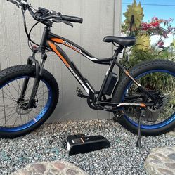 Electric Bike 