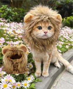 Lion Mane Pet Hat for Cats and Dogs