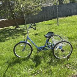 3 Wheel Trike For Adults
