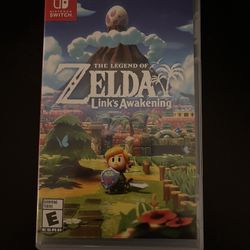 Nintendo Switch Game The Legend of Zelda Link’s Awakening 