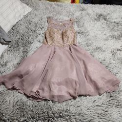 Purple/pink Dress