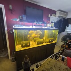 150 Gallon Aquarium, Complete Set Up