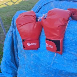 Vendo Estos Guantes Para Boxiar En Buen Estado 