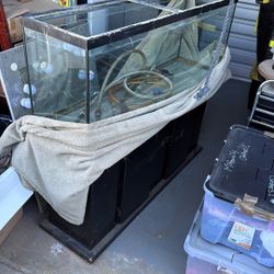 50-60 Gallon Fish Tank And Stand