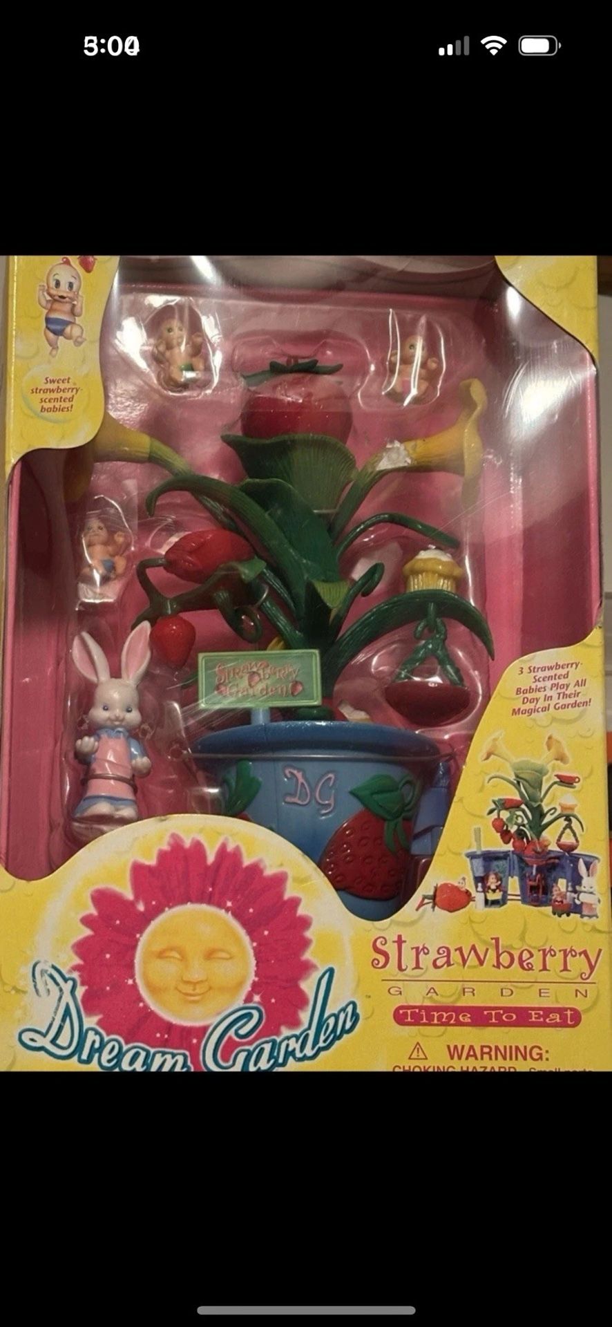 Strawberry Dream Garden