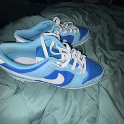 Size 12 Nike Dunks