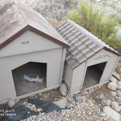 Dog Houses