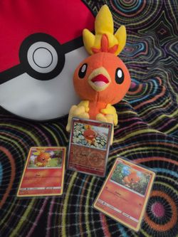 Pokemon Bundle - Torchic, Pokeball Lunchbox, Pokemon Cards