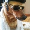 Mclovin 