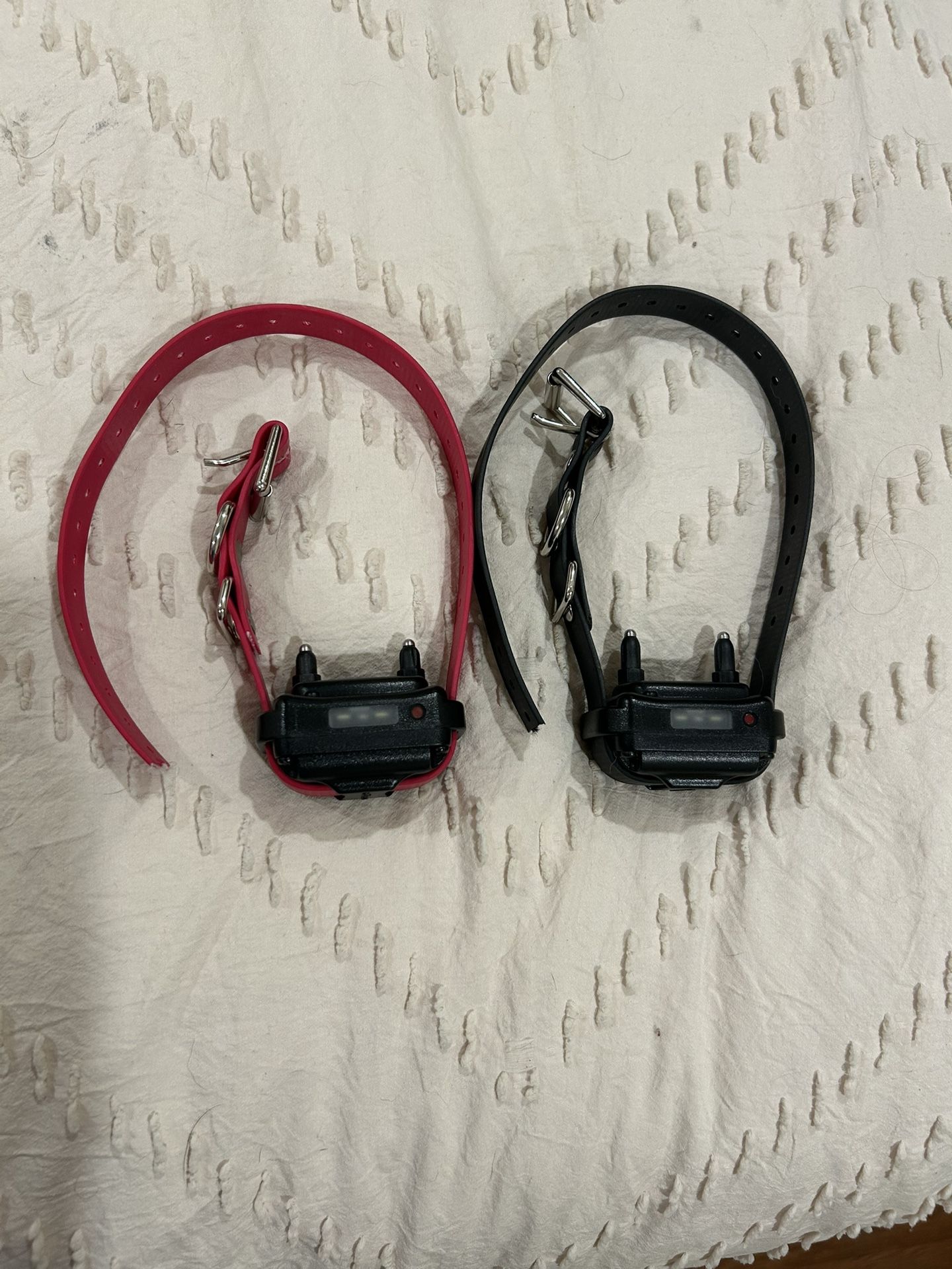 Mini Educator E Collars