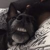 Angelo