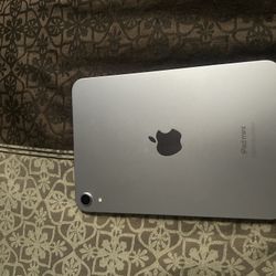 Ipad Mini A17