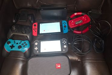 Nintendo Switch and Switch Lite