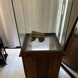 37g Tall Tank w/Stand