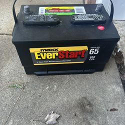 Everstart Battery