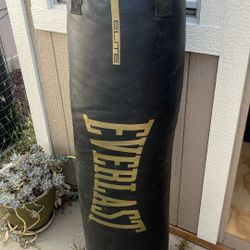 Everlast Punching Bag