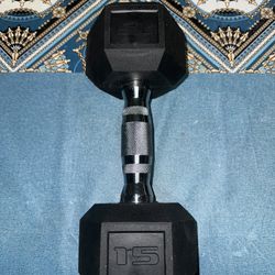 15 Lbs Dumbbell 
