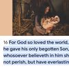 John 3:16
