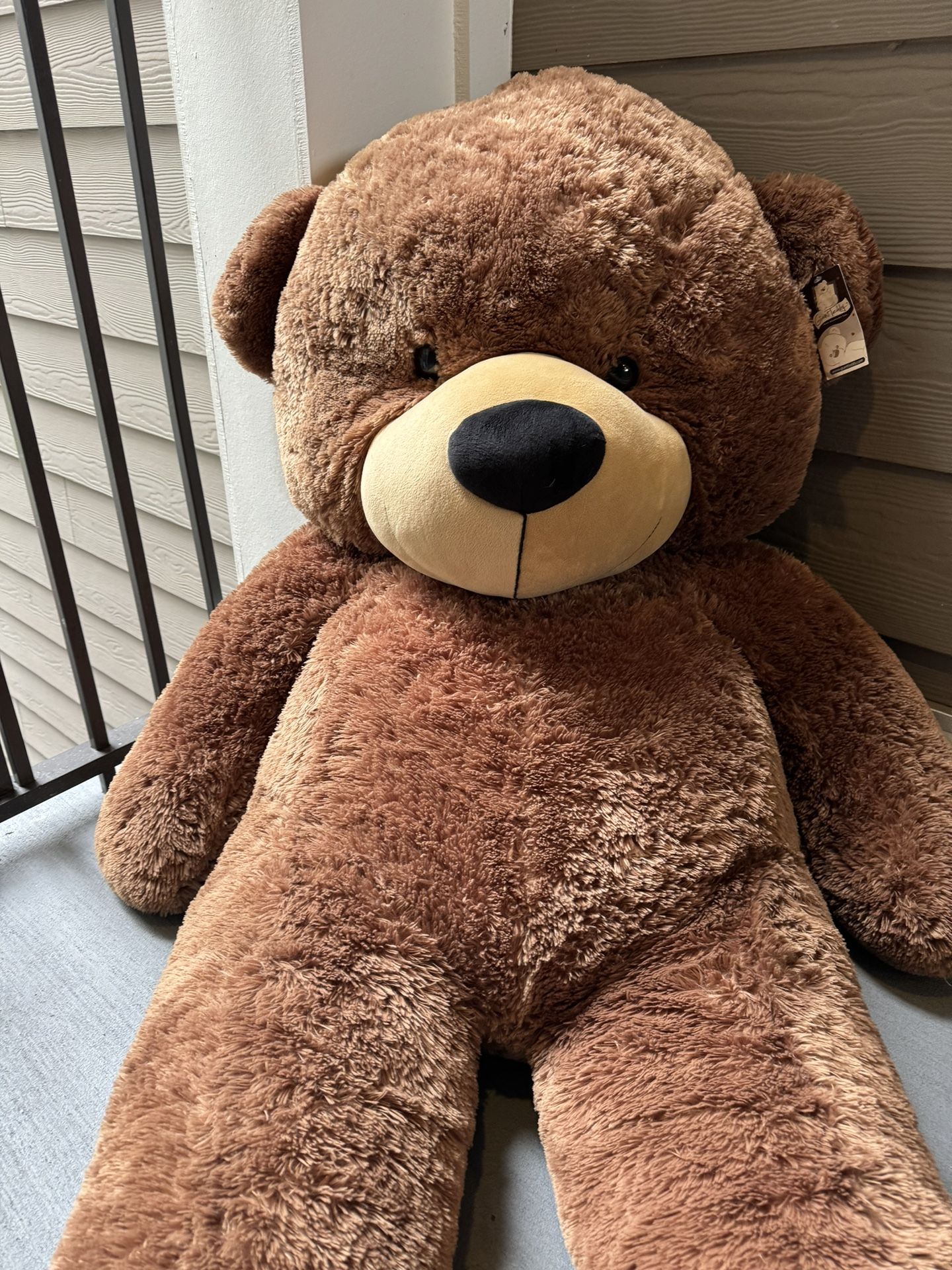 6ft Teddy Bear 