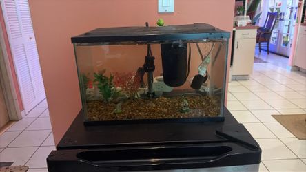 10 g fish tank (runnin)