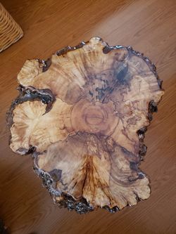 Burl Wood- Mushroom Side Tables