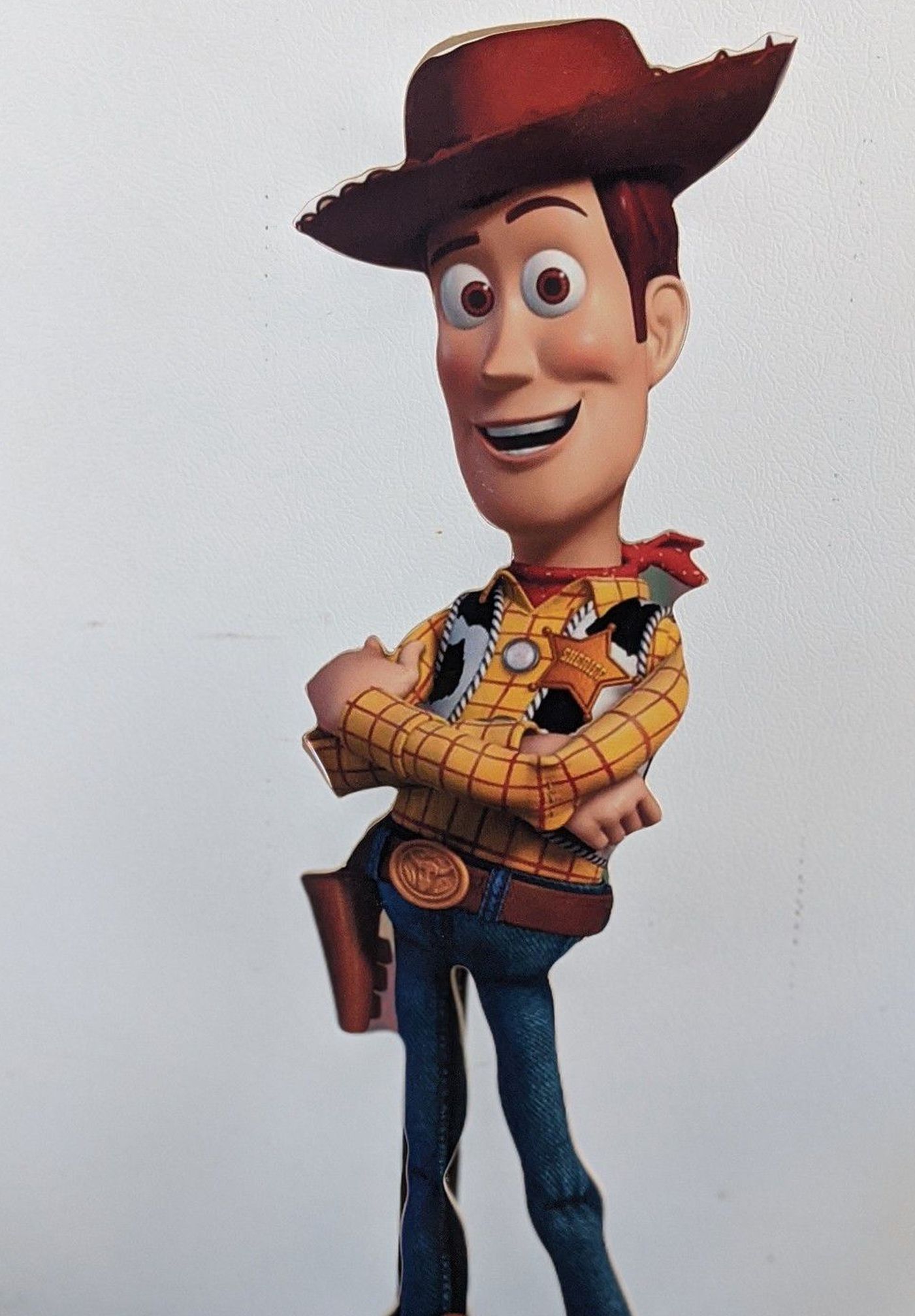 Woody Party Decorations/Centerpieces
