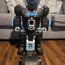 Batman Imaginext Batbot