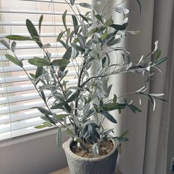 vintage style artificial olive bush tree and ceramic grey pot (read description)