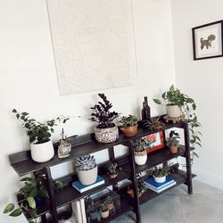 Bookcase Shelf 
