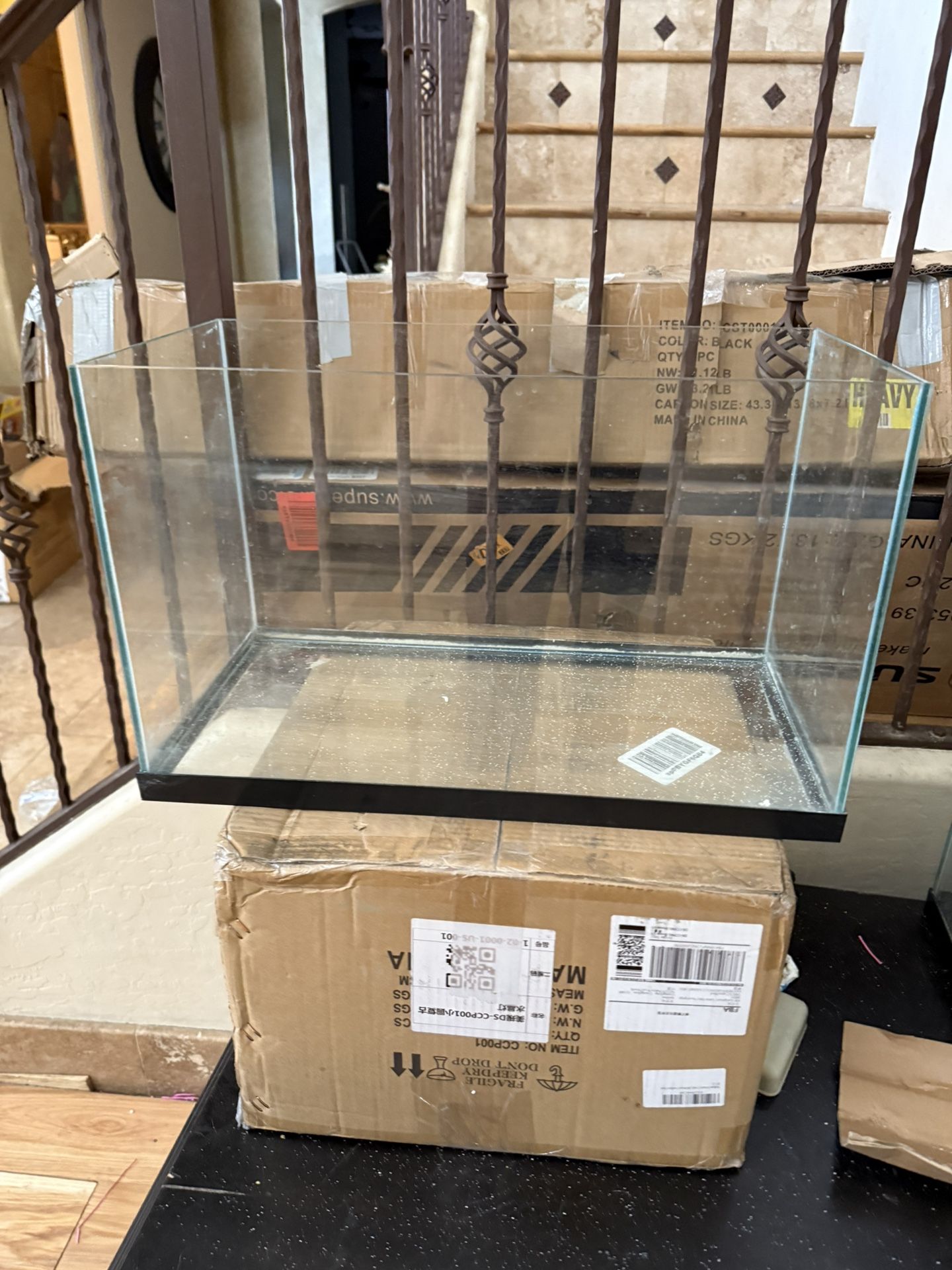 Fish Tank