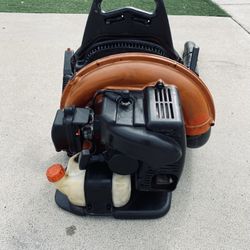 Echo Commercial Gas Blower 