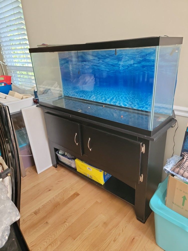 55 Gal Fish Tank
