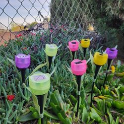 Set of 8, Solar LED Tulip  Stake Assorted Color, Garden Decoration