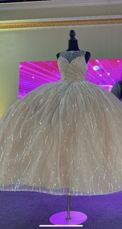 Brand New Quinceanera Dress