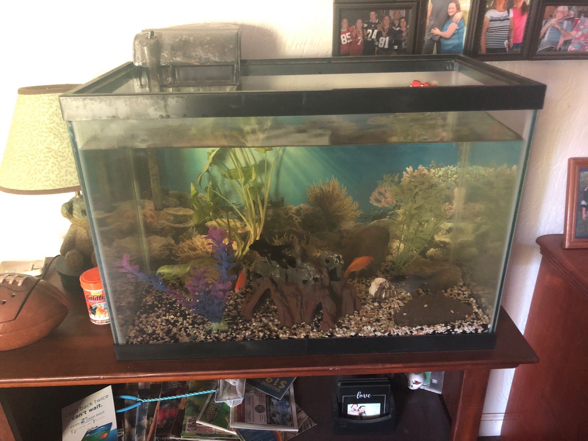 35 gallon fish tank with accessories
