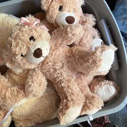 Plush Bear