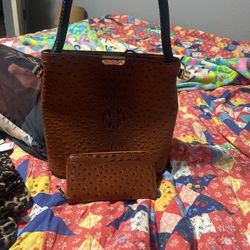 Purse And Wallet