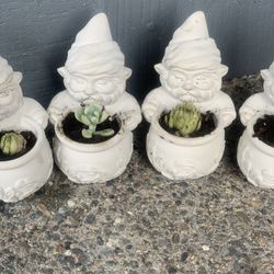 Small Succulent In Cement Gnome Pot / $7 Per Pot