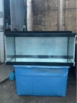 Reptile tank