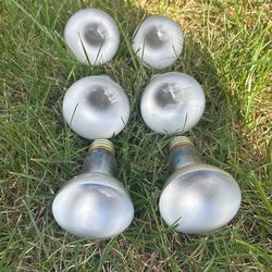 R-20 Spot. 50 W 120V Bulb