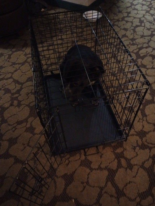 Dog Cage