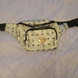 🩷 Y2K  Baby Phat Fanny pack - Sill Available 