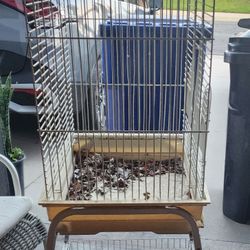 Bird Cage