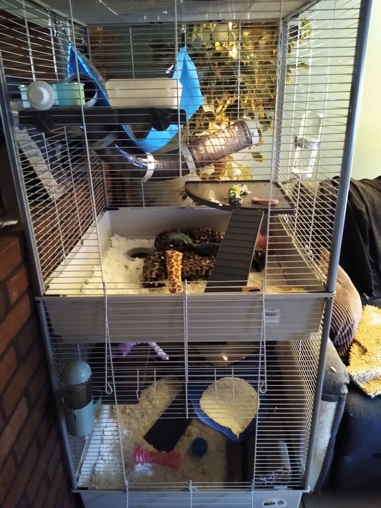 Ferplast Two Storey Ferret Cage For Sale