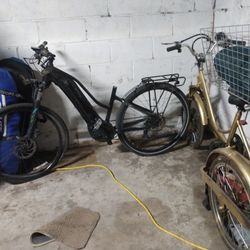  LIV Amiti E+ Electric Bike 